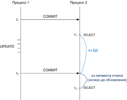 10semSPASOIl11pic1.png