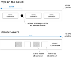 10semSPASOIl11pic2.png