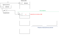 10semSPASOIl6pic4.png