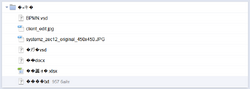 Zip.bad.enc.png